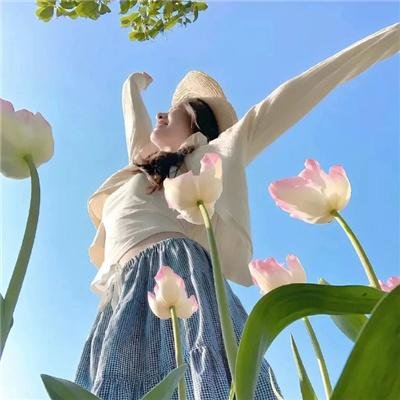 鲜血淋漓第五季