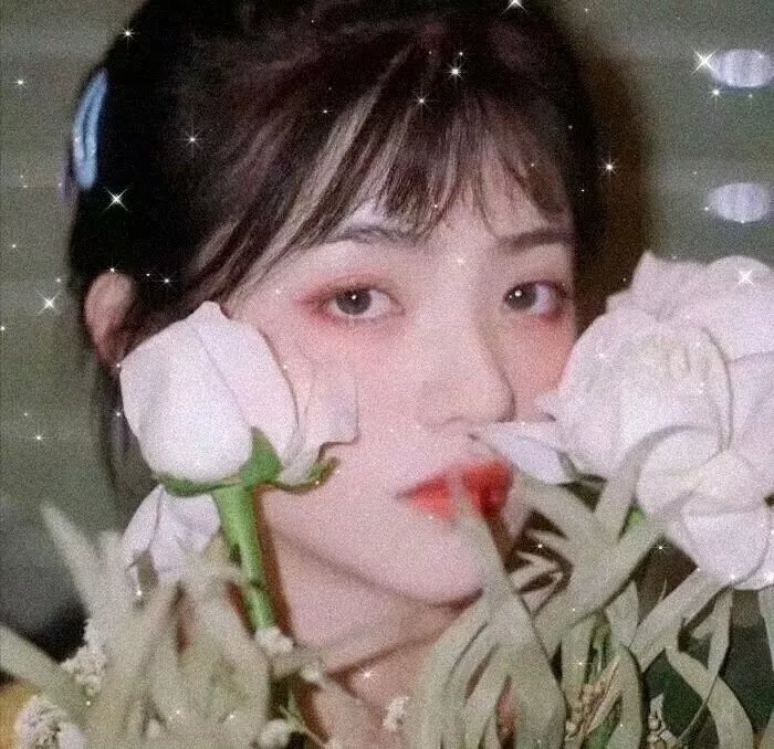 双生赤狐